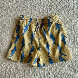 Wasabi Waves Boys Shark Print Swim Trunks -